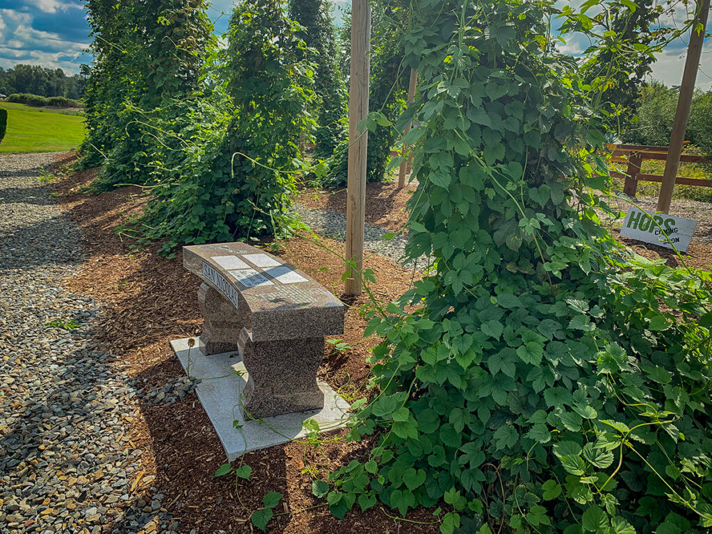 A granite bench marker sits between hop vines on bark with gravel path in front.