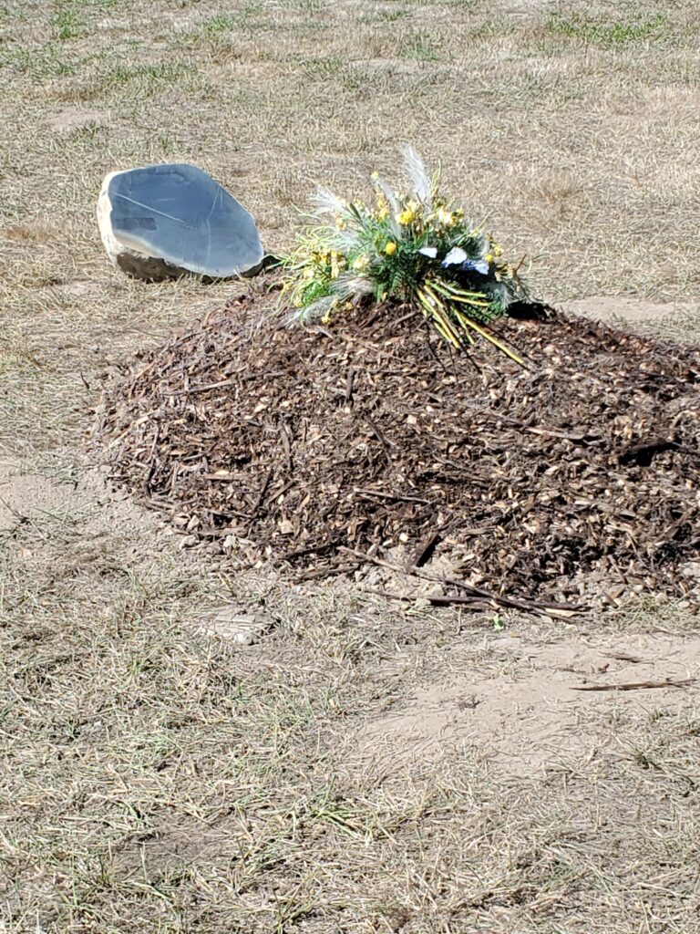 Green burial plot after service